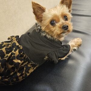 Meet your Posher, Natasha